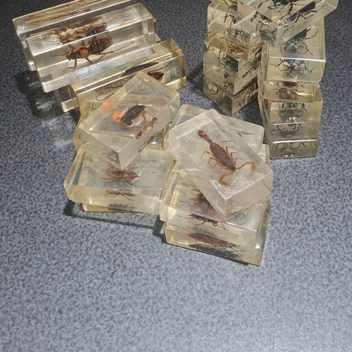 Insect and Arthropod Collection like new, 27 pieces in resin
