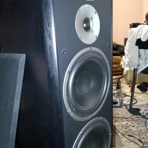 Magnat Supreme Court 2002 floor speakers like new