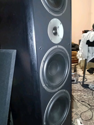 Magnat Supreme Court 2002 floor speakers like new