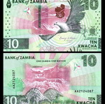 Ζάμπια 10 Kwacha 2024-2025 καινούργιο UNC