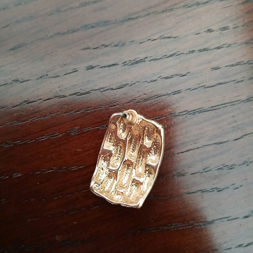 Steel earrings new in gold color