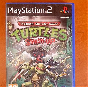 Playstation 2 Turtles smash up