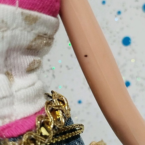 Bratz Pampered Petz Cloe used, incomplete with flaws