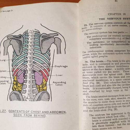Royal Army Medical Corps Training Pamphlet No 3 1944 used