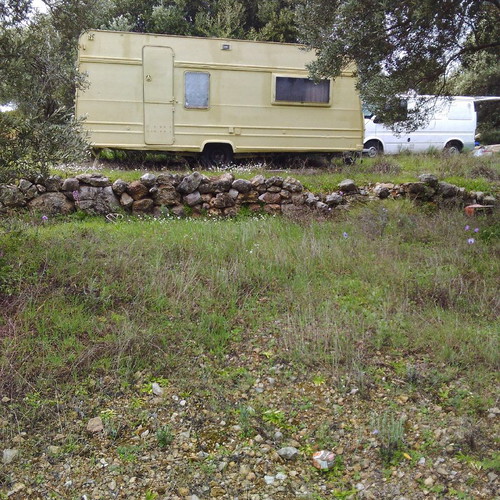 Land 18 acres with olive and mastic trees in Chios, buildable
