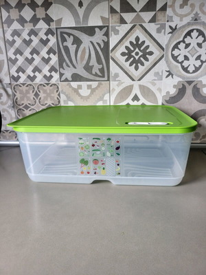 Smart Cooling Container 9.9L New