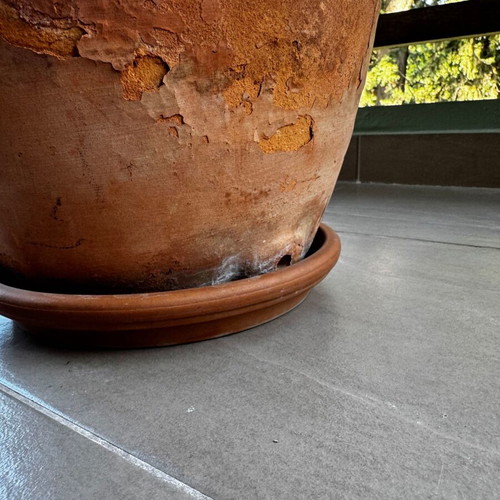 Terracotta flowerpots like new, various sizes