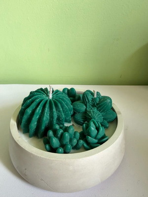 Soy Candle Cactus new