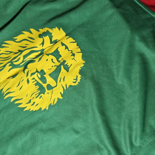 Cameroon 2006 National Team Jersey XL Puma authentic