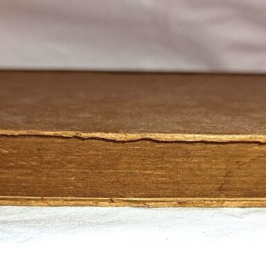 The Forest Lovers by Maurice Hewlett used vintage book 1917 edition