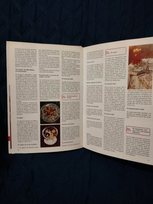 Encyclopedia like new