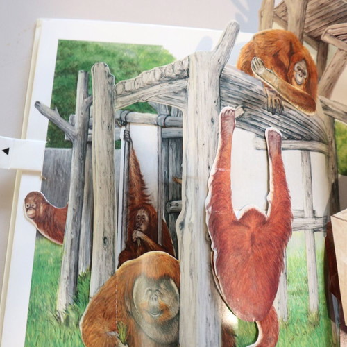 Pop-up book "At the Zoo" used, 10 pages