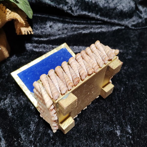 Vintage jewelry box with natural sea shells and royal velvet