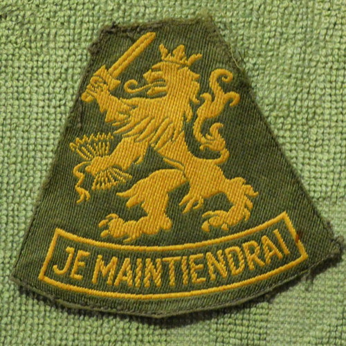 Dutch Special Forces badge like new