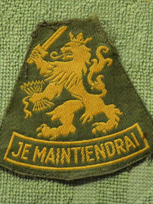 Dutch Special Forces badge like new