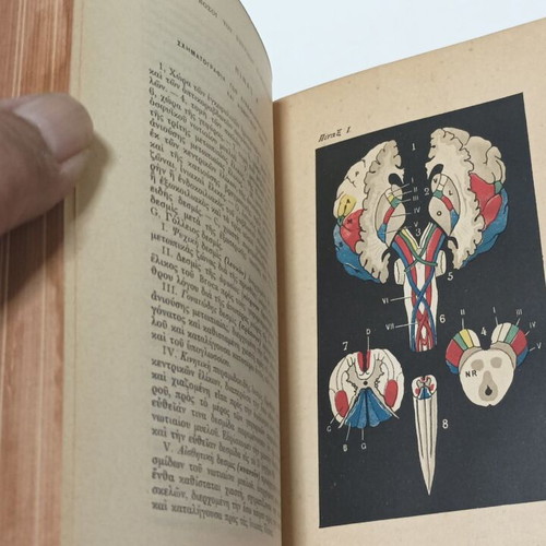 Manual of Internal Pathology used, Volume 3, 1911 edition