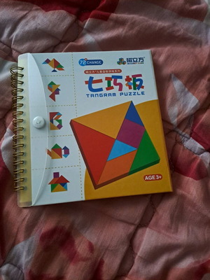 Tangram travel size used, magnetic with instructions