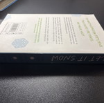 Let It Snow book like new