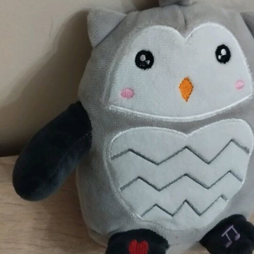 Owl with Greek-speaking sound like new baby toy