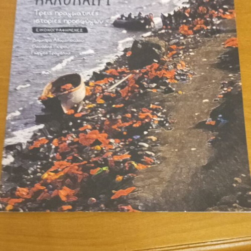 The Coldest Summer Illustrated Book like new, true refugee stories