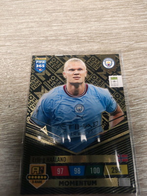 Panini collectible football card like new