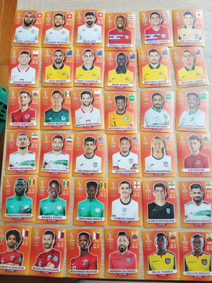 Panini World Cup 2022 stickers, collectible