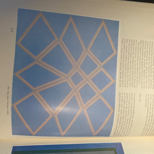 Behind Appearance hardcover book like new, English