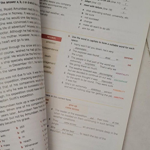 Go Ahead Intermediate Plus Teacher's Coursebook by C.N. Grivas