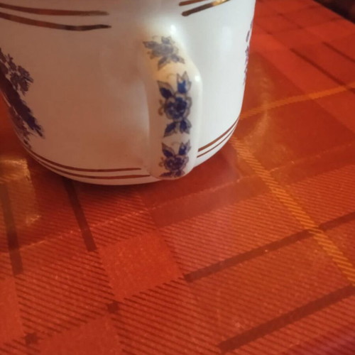 Coffee cup new with bird design
