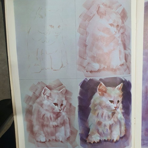 How to Draw Cats and Kittens book used