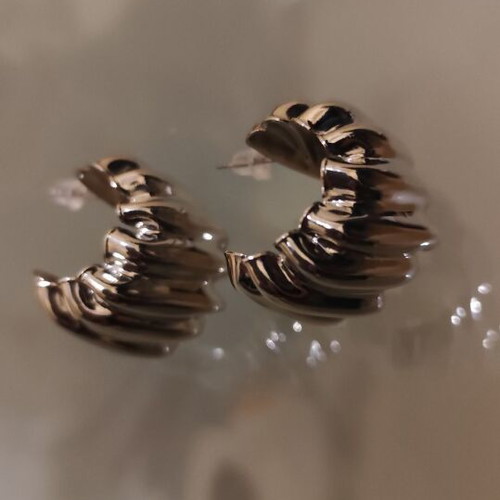 Impressive silver earrings new, iron and titanium steel