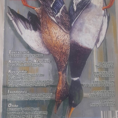 Kynigesia kai Kynofilia Magazine Issue 539 like new