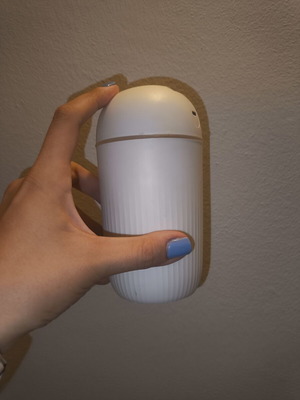 Humidifier with built-in light