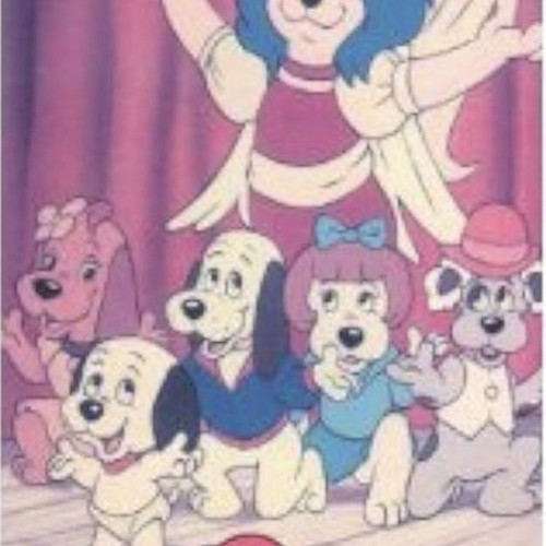 Pound Puppies and The Fairy Dogmother VHS used, dubbed