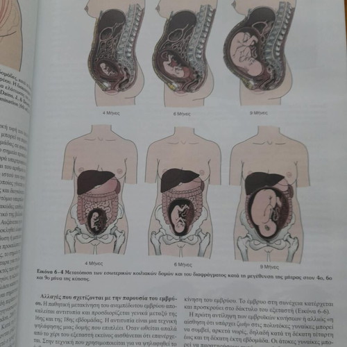Nursing of Maternity 8th Edition Academic Book used, Greek