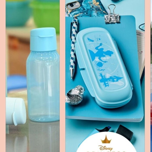 Tupperware Princess Disney kids snack box set with bottle new