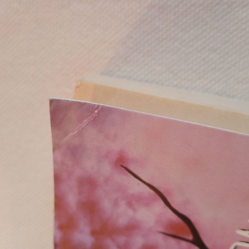 Book BELL Ola Einai Dynata Stephen King like new
