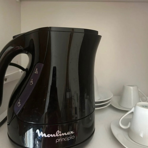 Moulinex Principio electric kettle