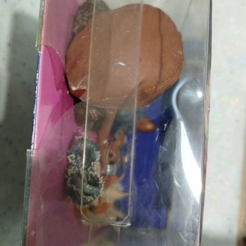 Bratz Sasha Strut It! doll new in box with damaged packaging