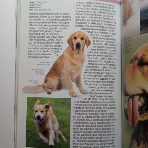Dogs book like new, breeds, training, health, care, behavior, history