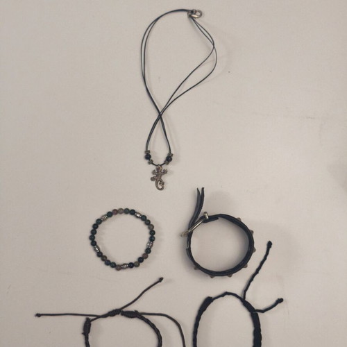 Men's jewelry set with lizard necklace and 4 bracelets