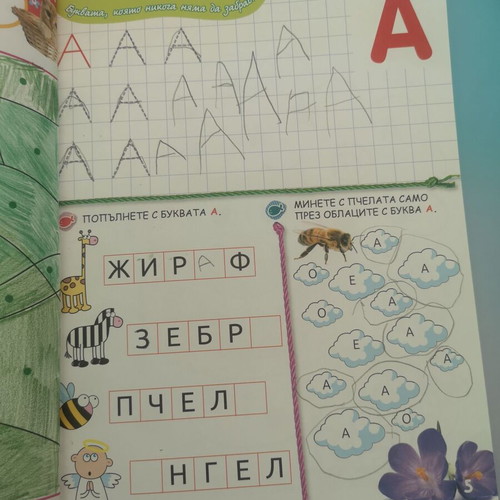 Learn the Letters with Mia and Murry educational book