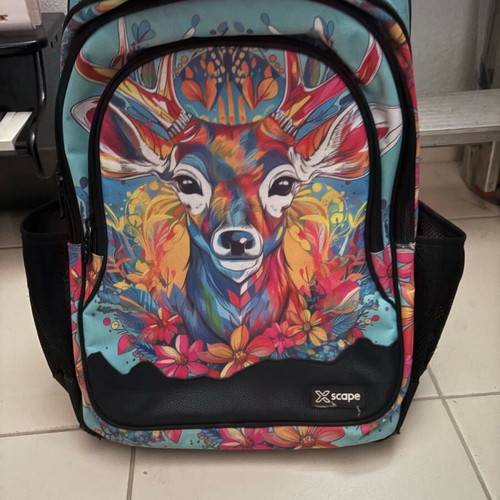 Trolley bag used