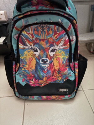 Trolley bag used