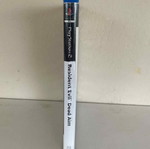 Resident Evil Dead Aim PS2 used, complete