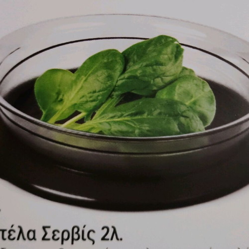 Tupperware 2-Liter Serving Platter new with airtight lid