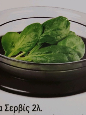 Tupperware 2-Liter Serving Platter new with airtight lid