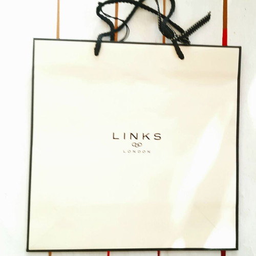 Links paper bag medium size new
