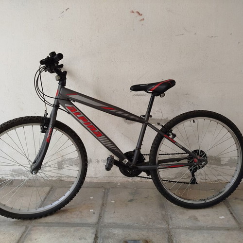 Alpina Alpha Mountain Bike like new, 24 inch, 21-speed Shimano