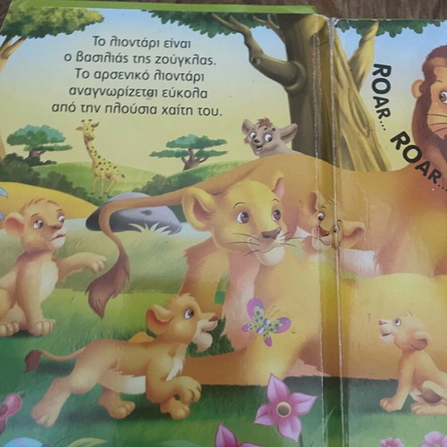 Children's sound book Animals of the jungle used